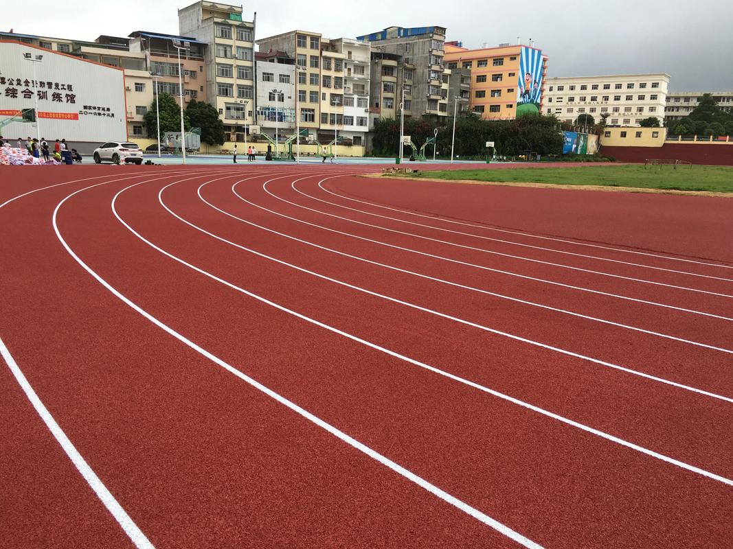 遂宁市硅PU塑胶跑道材料 - 哪里好